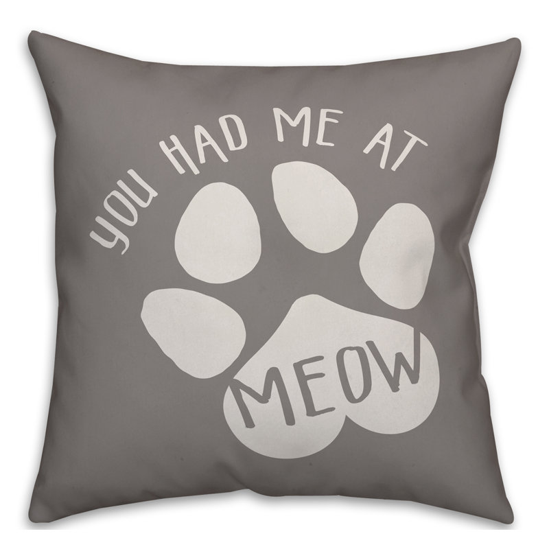 Throw Pillow