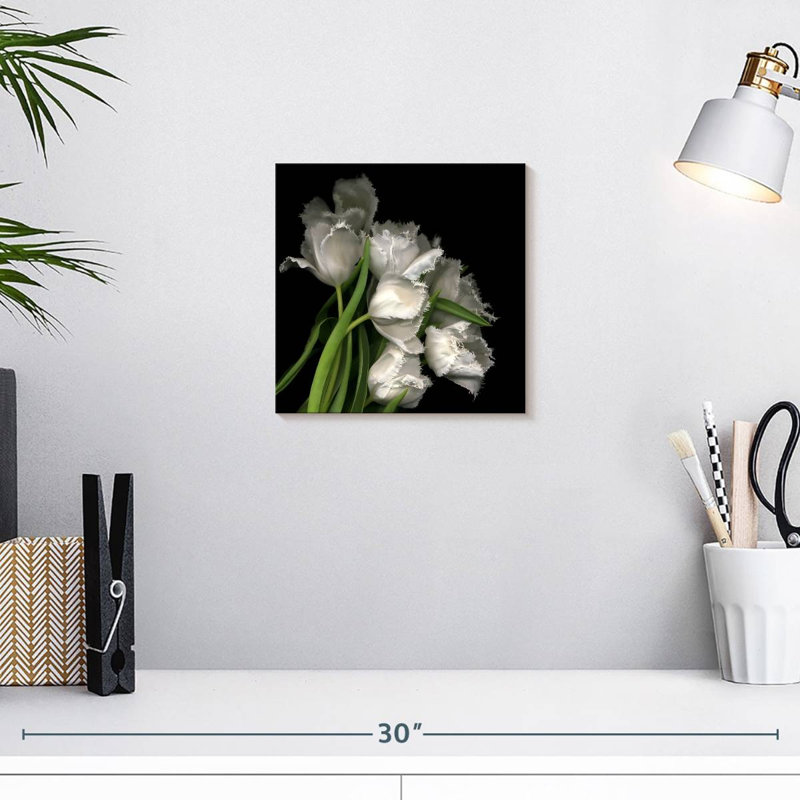 Tulipes Harnek, H 10 po x l 10 po