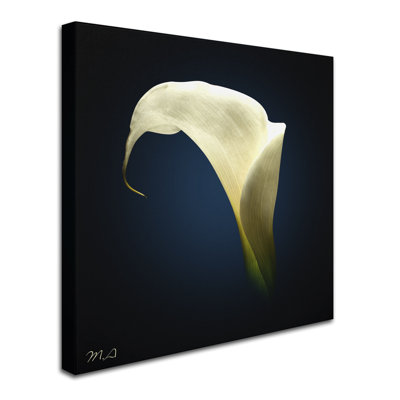 Cala Lily 1' Graphic Art Print on Wrapped Canvas -  Trademark Fine Art, ALI7862-C1414GG