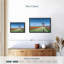Windmill And Tulips Canvas Print-1634514302