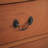 Chest