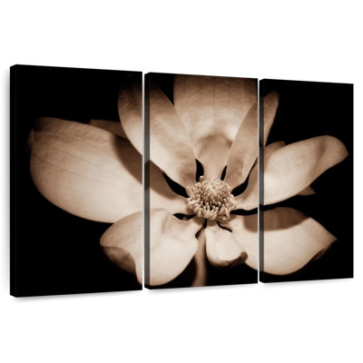 Harnek Awakening Magnolia