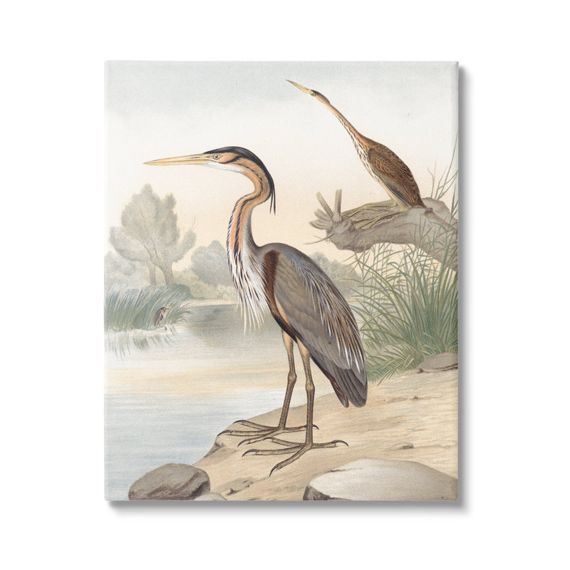 «Wild Heron Birds Perch Scenic Grassy Creek» par Piddi - peinture sur toile tendue, Toile tendue