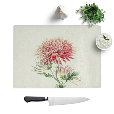 Glass Illustration of Pink Chrysanthemums Chopping Board