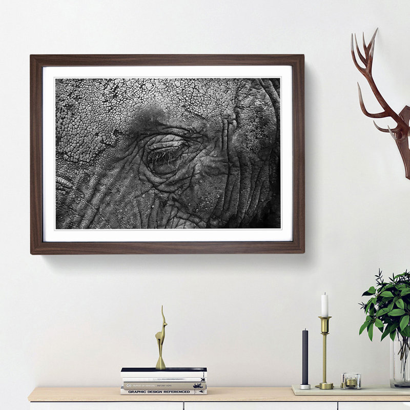 Elephant - Picture Frame Graphic Art Print, 48cm H x 65cm W x 2cm D, Walnut Framed