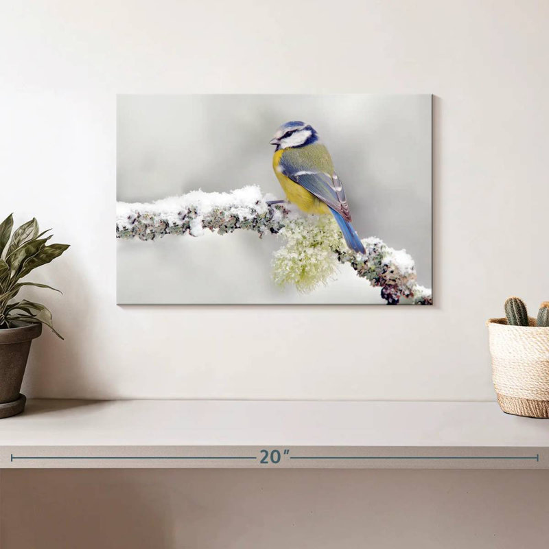 Oiseau chanteur Crowle, H 8 po x l 12 po