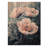Frosty Field Peonies Elegance III - Peonies Wood Print - On Natural Pine Wood-841026431