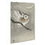 Long-Eared Owl by Ohara Koson - Wrapped Canvas-55365818
