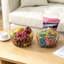 Fruit Bowl