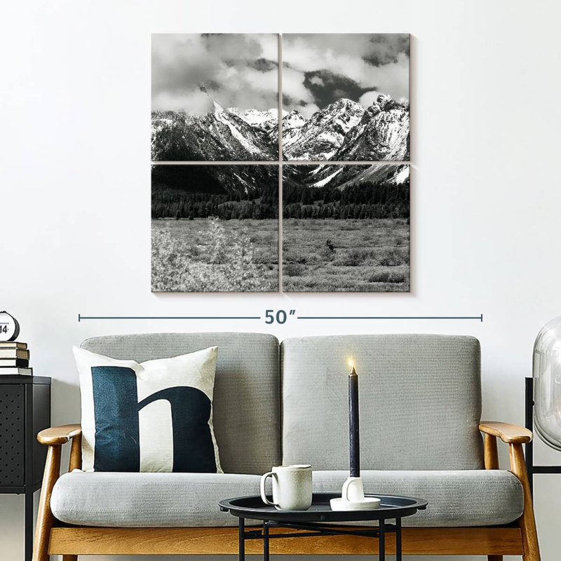 Alvord Snowy Teton Mountains BW, H 32 po x l 32 po