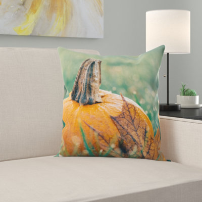 Coussin citrouille