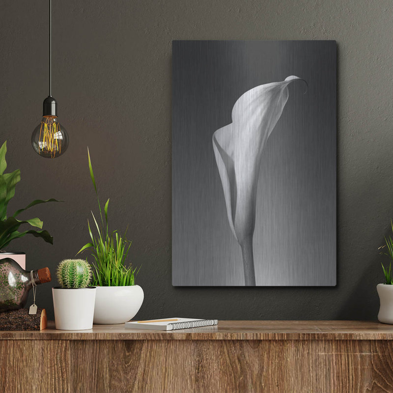 «Calla No. 4» par PhotoINC Studio, H 16 po x l 12 po