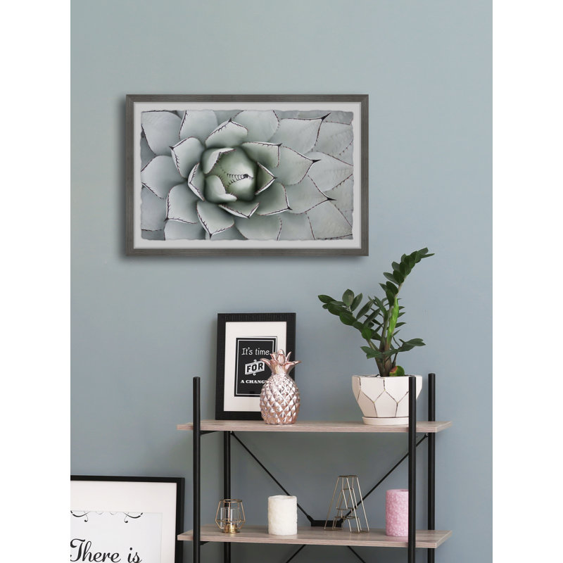 Succulent Outline - Single Picture Frame Painting, 38 cm H x 45 cm W