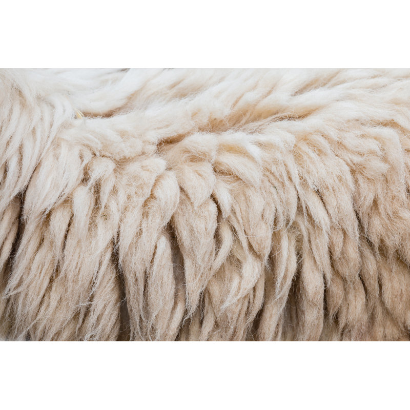 Wool Of Sheep Background by Lamyai - Wrapped Canvas Print, 61cm H x 91cm W