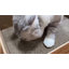 Tapis à griffer plat réversible pour chat, planche à gratter en carton ondulé, tapis à griffes double face pour protéger les chats d'intérieur, paquet de 8-1624082153