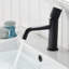Single-Hole Bathroom Faucet-60053603