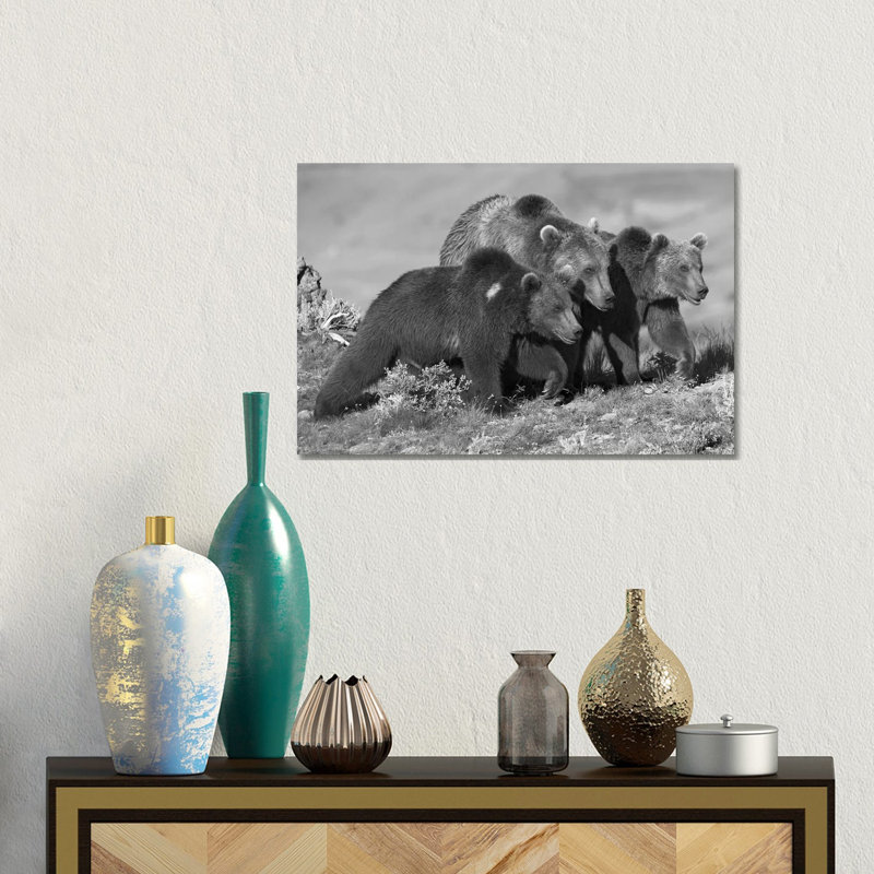 Grizzly Bear Mother With Two One Year Old Cubs, North America by Tim Fitzharris - Gallery-Wrapped Canvas Giclée on Canvas
