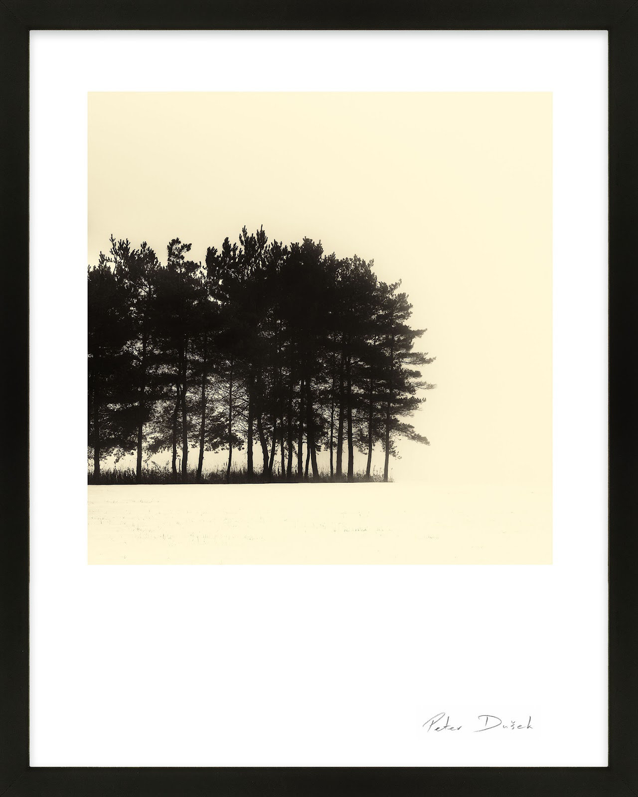 Garden Sign "Copse" Print by Peter Dušek, Black, 38" H x 30" W x 1.25" D