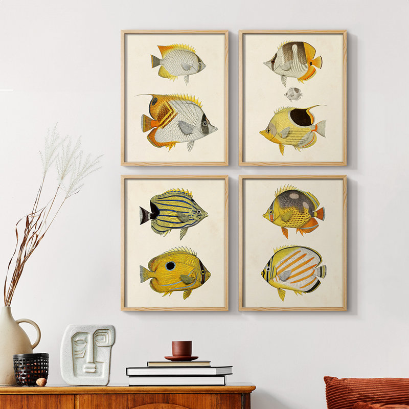 «Fish I», ensemble de 4 reproductions encadrées, Naturel, H 28 po x l 22 po