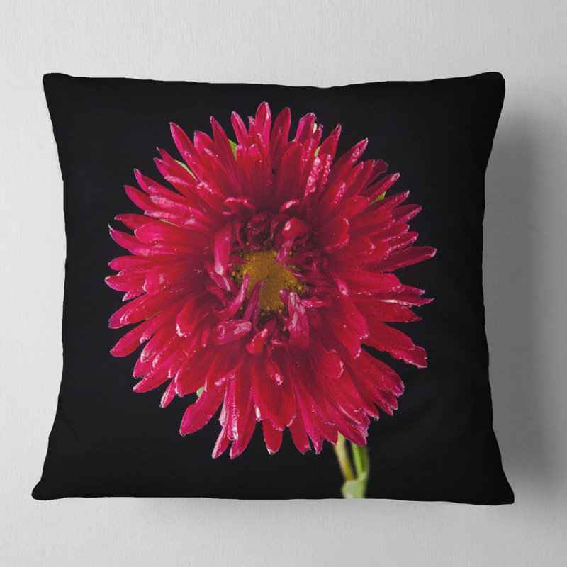 Chrysanthème fleur sur fond noir - coussin à imprimé floral, 18 po x 18 po, Coussin décoratif