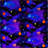 Space Explorer Fluorescent Area Rug by Joy Carpets-336190743