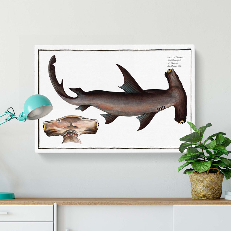 Hammerhead Shark by M.E. Bloch - Wrapped Canvas, 50cm H x 76cm W x 3cm D