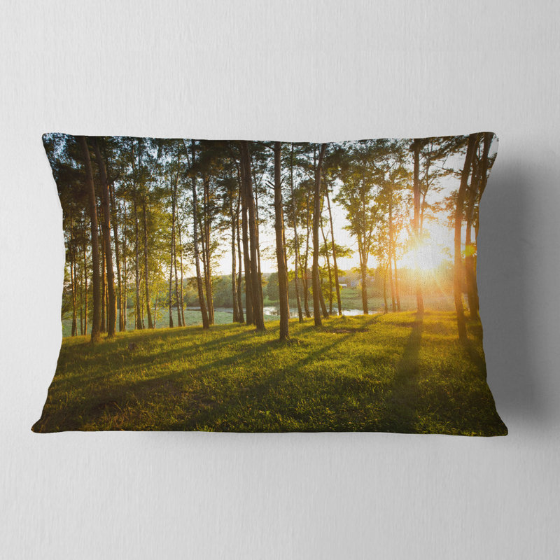 Coussin lombaire Schafer Landscape