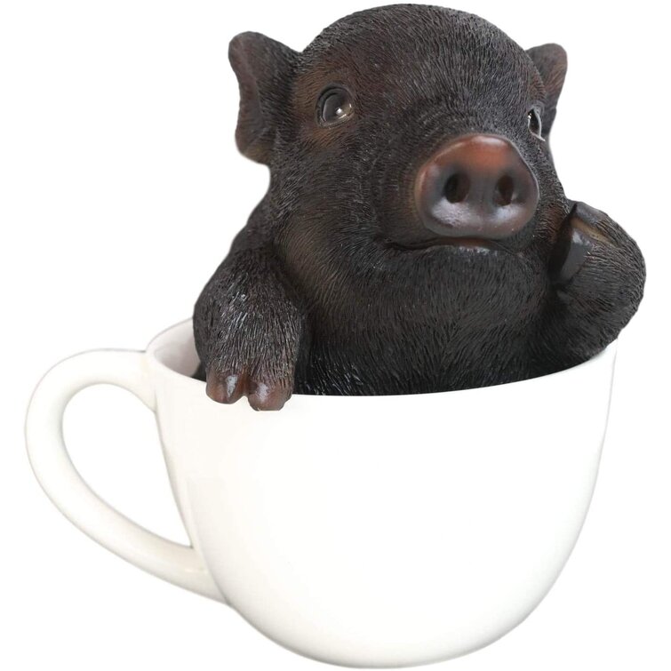 pet piglet teacup