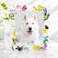 Acrylic Rectangle Picture Frame-1975697866