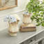 2 Piece Glass Tabletop Voltive Holder Set