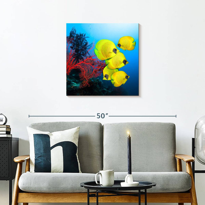 Brampt Coral Reef Fish, 24" H x 24" W