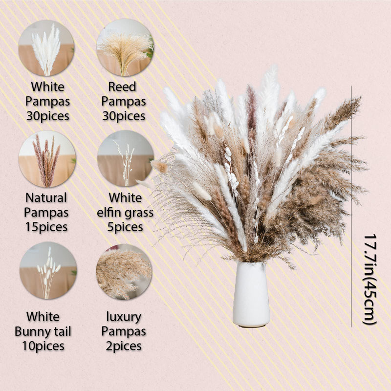 Pampa Arrangement