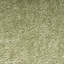 Tapis vert à poils longs Bernadean Pacific-1387407203