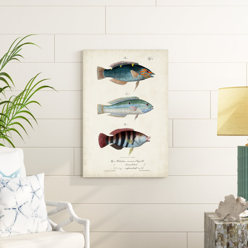 " Antique Fish Trio III ", 36" H x 24" W x 1.25" D