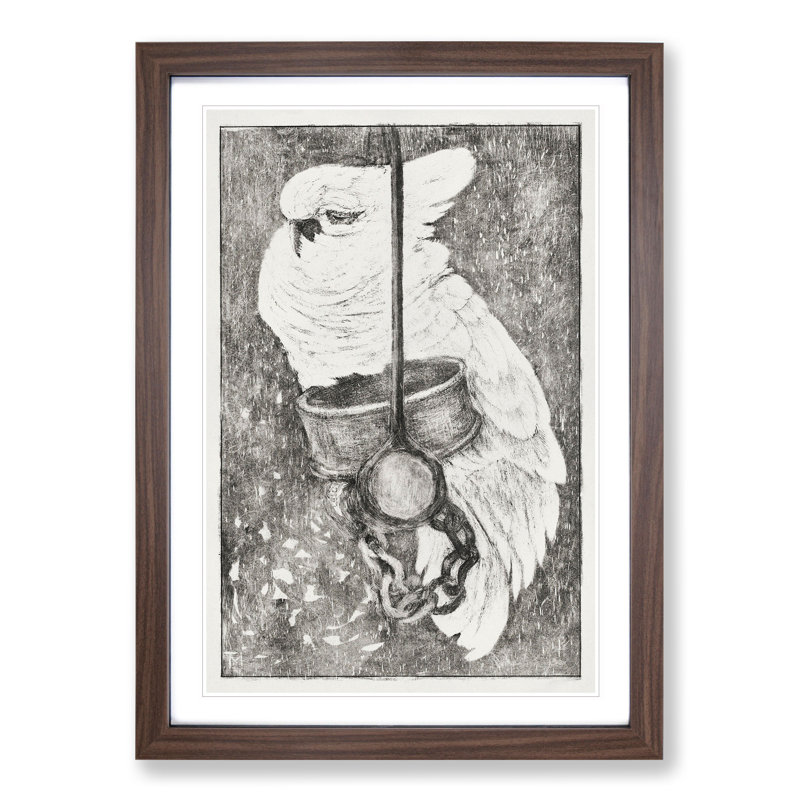 White Cockatoo by Theo Van Hoytema - Picture Frame Painting, Walnut, 36cm H x 27cm W x 2cm D