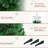 2.5Ft Tall Pre-Lit Douglas Fir Tabletop Artificial Christmas Tree With Realistic Branches, Fibre Optic LED S And 85 Tips,