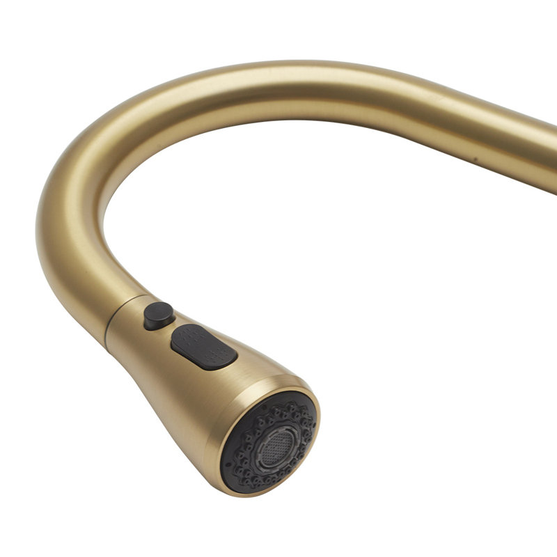Belfry Kitchen Orin Kitchen Faucet, Gold