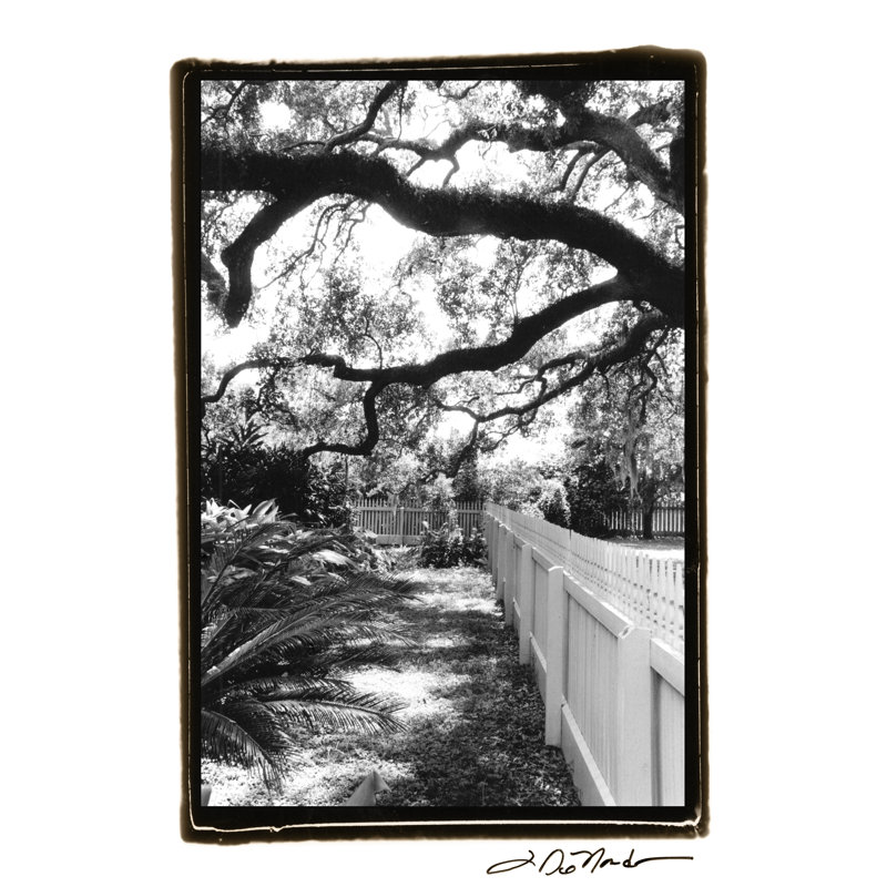 Summer Shade I by Laura DeNardo - Wrapped Canvas Print, 46cm H x 30cm W x 3.8cm D