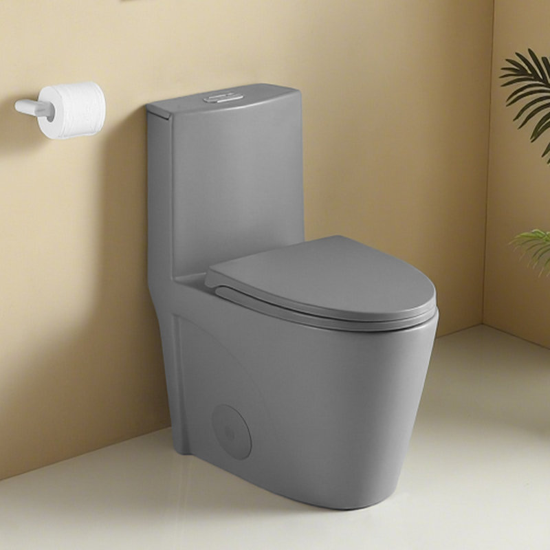 MEDUNJESS 1.1/1.6 GPF Dual-Flush One Piece Toilet, Water-Saving Elongated Comfort Height Floor Mounted, Matte Gray
