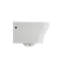 Firenze Wall-Hung Toilet Bowl-1130029546