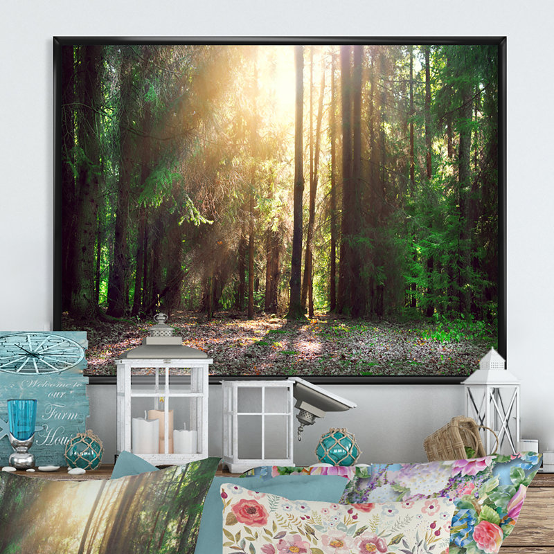 Sun Rays In Misty Old Forest III - reproduction d'art sur toile, H 8 po x l 12 po x P 1 po, Toile avec cadre flottant noir
