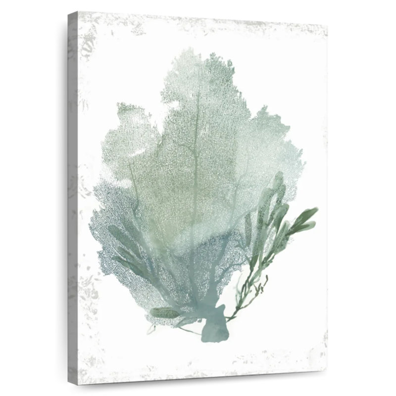Teal Delicate Coral, 30" H x 20" W