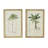 15.5" X 23.5" S/2 Tree Framed Print