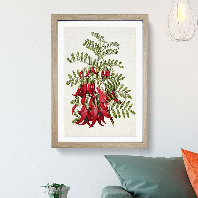 Clianthus Flowers by Sarah Featon - Picture Frame Painting Print, 65cm H x 48cm W x 2cm D, Oak Framed