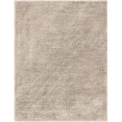 Indoor Rug