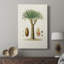 Arbre antique avec fruits V - galerie Cavas enveloppé-108843689