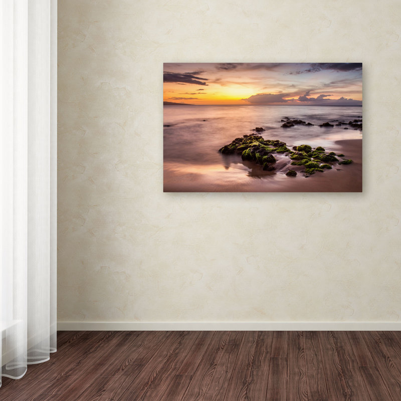 Modern & Contemporary, 30" H x 47" W x 2" D