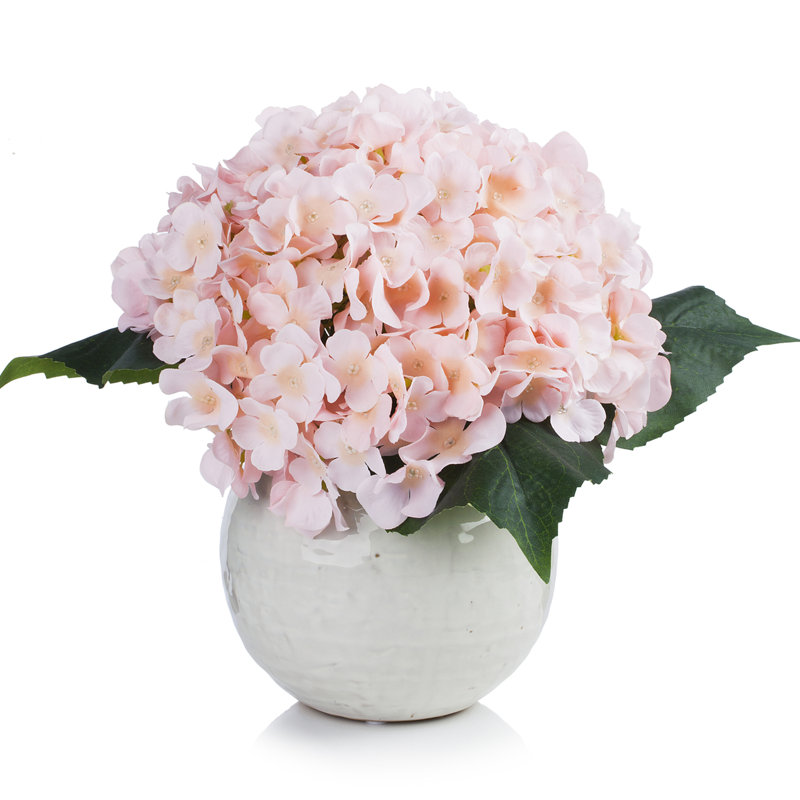 Arrangement floral d'hortensias en pot, Rougir