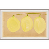Loquat Giclee Print by Susan Hable