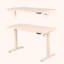 Bureau debout électrique entier, bureau à hauteur réglable de 48 po x 24 po, bureau assis-debout